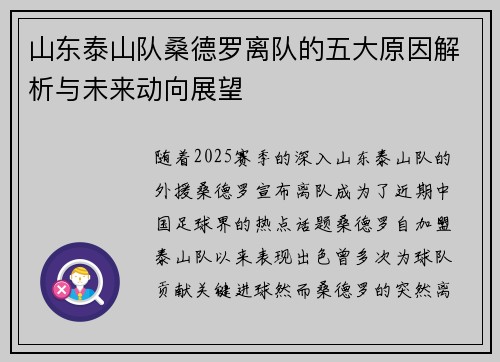 山东泰山队桑德罗离队的五大原因解析与未来动向展望