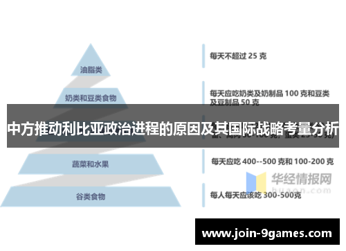 中方推动利比亚政治进程的原因及其国际战略考量分析