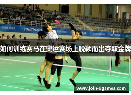 如何训练赛马在奥运赛场上脱颖而出夺取金牌