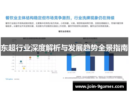 东超行业深度解析与发展趋势全景指南