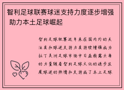 智利足球联赛球迷支持力度逐步增强 助力本土足球崛起